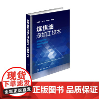 正版 煤焦油深加工技术(精) 编者:白建明 李冬 李稳宏 正版书籍 煤焦油化工学 煤焦油工艺学 煤焦油深加工技术