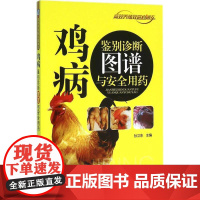 鸡病鉴别诊断图谱与安全用药 孙卫东主编 鸡病类症鉴别图谱与防治用药 9787111526469