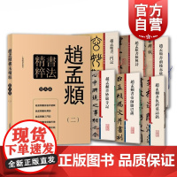 赵孟頫书法精粹(2) 彩色放大本特辑 孙宝文 书法碑帖 文学艺术 正版图书籍 上海辞书 世纪出版