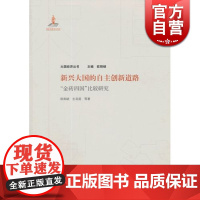 新兴大国的自主创新道路“金砖四国”比较研究 欧阳峣等 外国经济 哲学社会科学 正版图书籍格致出版社世纪出版