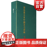 彩色放大本中国著名碑帖(盒装第四辑)(20册) 孙宝文 含米芾/宋徽宗等 书法篆刻收藏鉴赏 毛笔字帖 书帖 国学 上海辞