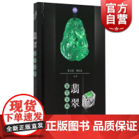 翡翠鉴赏宝典(精) 翡翠的概念、种类、加工工艺 著名翡翠饰品的鉴赏 翡翠收藏爱好者鉴赏书籍 上海科技 世纪出版