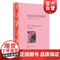 正版 钢铁是怎样炼成的 译文名著精选 尼古拉奥斯特洛夫斯基 世界名著 外国文学小说书籍 名著经典读物 上海译文 世纪