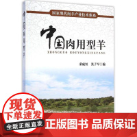 中国肉用型羊(国家现代肉羊产业技术体系) 荣威恒 张子军编著100个肉用型绵、山羊资源概况、特征与性能、研究进展、产业现