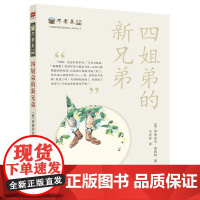 8-15岁初中生小学中高年级麦克米伦大奖小说不老泉系列18四姐弟的新兄弟经典创意故事梦想和家庭的故事兄弟猴王