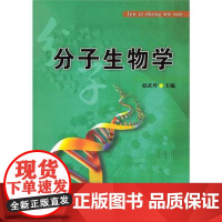 分子生物学 赵武玲主編 9787565500305