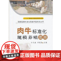 肉牛标准化规模养殖图册(图解畜禽标准化规模养殖系列)全彩版9787109164185