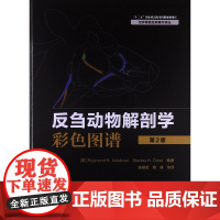 反刍动物解剖学彩色图谱 第2版 陈耀星主译 9787109153400