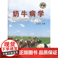 奶牛病学 奶牛疾病防治专家肖定汉先生力作 奶牛疾病治疗奶牛疾病治疗书籍 奶牛疾病防控治疗学9787565503740