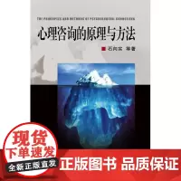 心理咨询的原理与方法/现代心理学丛书/石向实/浙江大学出版社