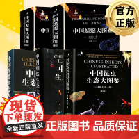 正版 [全5册]中国生态大图鉴 昆虫生态大图鉴+鸟类生态大图鉴+蜻蜓大图鉴+蜘蛛生态大图鉴 昆虫大全图鉴