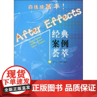 AFTER EFFECTS经典案例荟萃 徐丕文 著作 图形图像/多媒体(新)专业科技 正版图书籍 兵器工业出版社