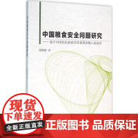 中国粮食安全问题研究 梁姝娜 著 社会科学总论经管、励志 正版图书籍 中国社会科学出版社