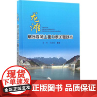 龙滩碾压混凝土重力坝关键技术 肖峰,冯树荣 编著 建筑/水利(新)专业科技 正版图书籍 中国水利水电出版社