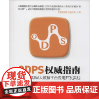 ODPS权威指南 李妹芳 著作 数据库专业科技 正版图书籍 人民邮电出版社