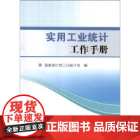 实用工业统计工作手册 国家统计局工业统计司 编 著 著 统计 审计经管、励志 正版图书籍 中国统计出版社