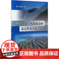 高台阶排土场散体边坡稳定性及其病害防治 王光进 著 冶金工业专业科技 正版图书籍 冶金工业出版社