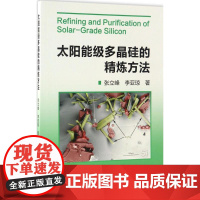 太阳能级多晶硅的精炼方法 张立峰,李亚琼 著 冶金工业专业科技 正版图书籍 冶金工业出版社