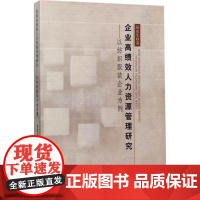 企业高绩效人力资源管理研究 孙永生 著 人力资源经管、励志 正版图书籍 中国纺织出版社