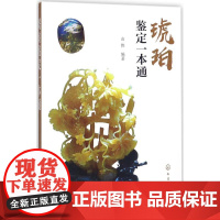 琥珀鉴定一本通 由伟 编著 收藏鉴赏艺术 正版图书籍 化学工业出版社