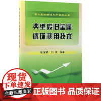 典型废旧金属循环利用技术 张深根,刘波 编著 冶金工业专业科技 正版图书籍 冶金工业出版社