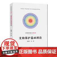 文物保护基础理论 龚德才 文物保护通论之理论篇 建立文物保护基础理论体系指导文物保护研究 中国科大出版社
