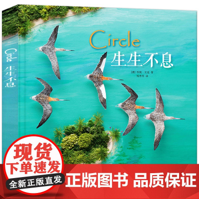 读库 生生不息 Circle 珍妮贝克著 一只鸟的迁徙 壮阔视野下的生命斑尾塍鹬 拼贴画 读小库儿童书绘本 3-6岁