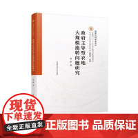 政府主导型农地大规模流转问题研究 常伟 “三农”问题研究 中国当代农村发展论丛