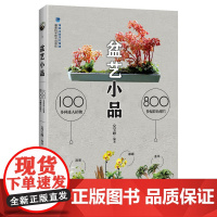 [店]盆艺小品 盆景造型设计图解 盆景制作与养护书籍 树木盆景制作养护 盆景书盆栽书小盆景书