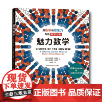 魅力数学 用色彩和想象力创造数学之美 有趣的数学书 激发创造性思维 中科大出版社