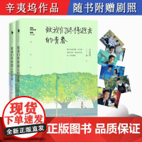 全2册 辛夷坞作品:致我们终将逝去的青春//杨玏陈瑶赵又廷韩庚杨子姗江疏影主演电影青春校园小说原著正版书籍