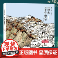 跟名家去写生 林容生写生作品赏析 国画山水风景写生创作技法实例教程书籍全解 取景构图/线描写生 写生范例画家写生画稿正版