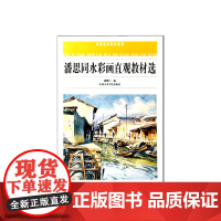 《潘思同水彩画直观教材选》中国美术院校教材 中国美术学院 正版品牌