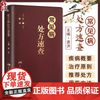 常见病处方速查 袁洪主编 常见病处方手册常见病处方速查医学 药学中药人民卫生出版社 口袋书籍 治疗原则 实用性强 978