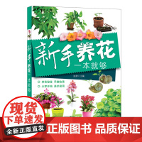 [店]出版社店 [店] 新手养花一本就够 花草种植花草种植与养护大全书籍