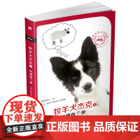 麦克米伦世纪 牧羊犬杰克1:我想有个家 8/12世界儿童文学精选麦克米伦世纪 儿童文学8-12岁青少年儿童中小学生阅读