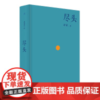 尽头 唐诺作品 求剑 阅读的故事 文字的故事 常在远方 有时候却是现实 理想国图书店