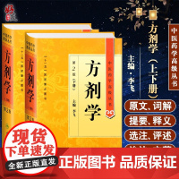 正版 方剂学 第二2版 上下册 中医药学高级丛书 李飞 人卫版十一五重点医学图书中医药本科研究生专业教材书临床医师科研参