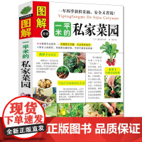 图解一平米的私家菜园 蔬菜栽培种植技术室内室外西红柿黄瓜茄子青菜辣椒草莓阳台露台庭院顶楼养花种菜栽培实用手册书籍