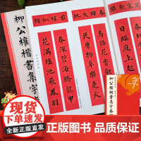 柳公权楷书集字春联 6大类120幅春节对联 原碑帖古帖楷书集字对联横幅 楷书柳体玄秘塔碑刻石毛笔软笔书法练字帖 集字作品