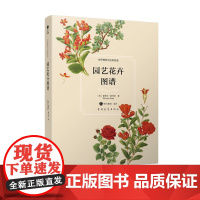 世界博物学经典图谱 园艺花卉图谱 (英)斯 铃兰图书编译中国青年出版社自然科普手绘