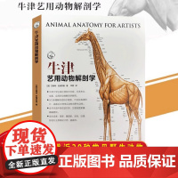 牛津艺用动物解剖学 中英对照版500余幅常见动物解剖结构示意图动物骨骼与肌肉运动结构 动物绘画技法解剖教程教学动物解剖工