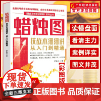 日本蜡烛图技术 蜡烛图技战术细细讲:从入门到精通 股票入门基础知识 炒股书籍新手入门股市股市趋势技术分析 理财书籍 炒股