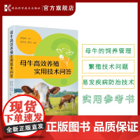 母牛高效养殖实用技术问答 母牛养殖技术 母牛繁殖技术 母牛疾病 肉牛养殖前景 肉牛养殖盈利模式 母牛养殖户