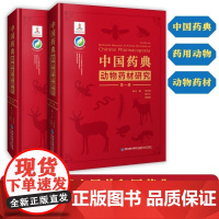 [店]中国药典动物药材研究 中华人民共和国药典 中国药典 药用动物 动物药材 中国中药资源大典