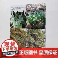 预售[日文原版]Bplants 冬型 珍奇植物新情报 冬季多肉植物信息书籍 微型盆栽 ビザールプランツ 冬型 珍奇植物最