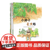 [科学绘本]四季告诉你的科学(共7本)春夏秋冬/动物植物