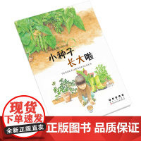 [科学绘本]四季告诉你的科学·小种子长大啦/长春社/春夏秋冬