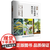 [店]图解五针松盆景制作技艺 刘立华 盆景育苗换盆摘芽修剪蟠扎 日常管理盆景制作赏析 养花书盆景书