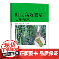 [中国农业出版社]豇豆高效栽培实用技术 9787109273009 豇豆 高效栽培 实用技术 豇豆栽培 豆子 豆类